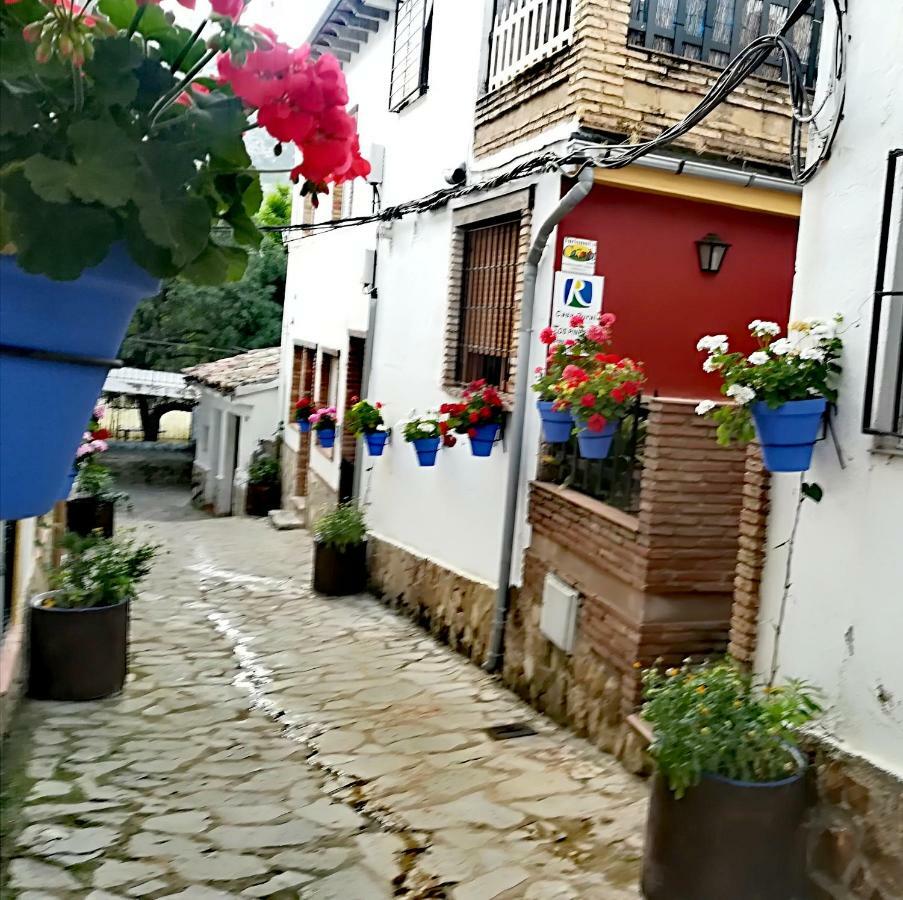 Pineros Arroyo Frio