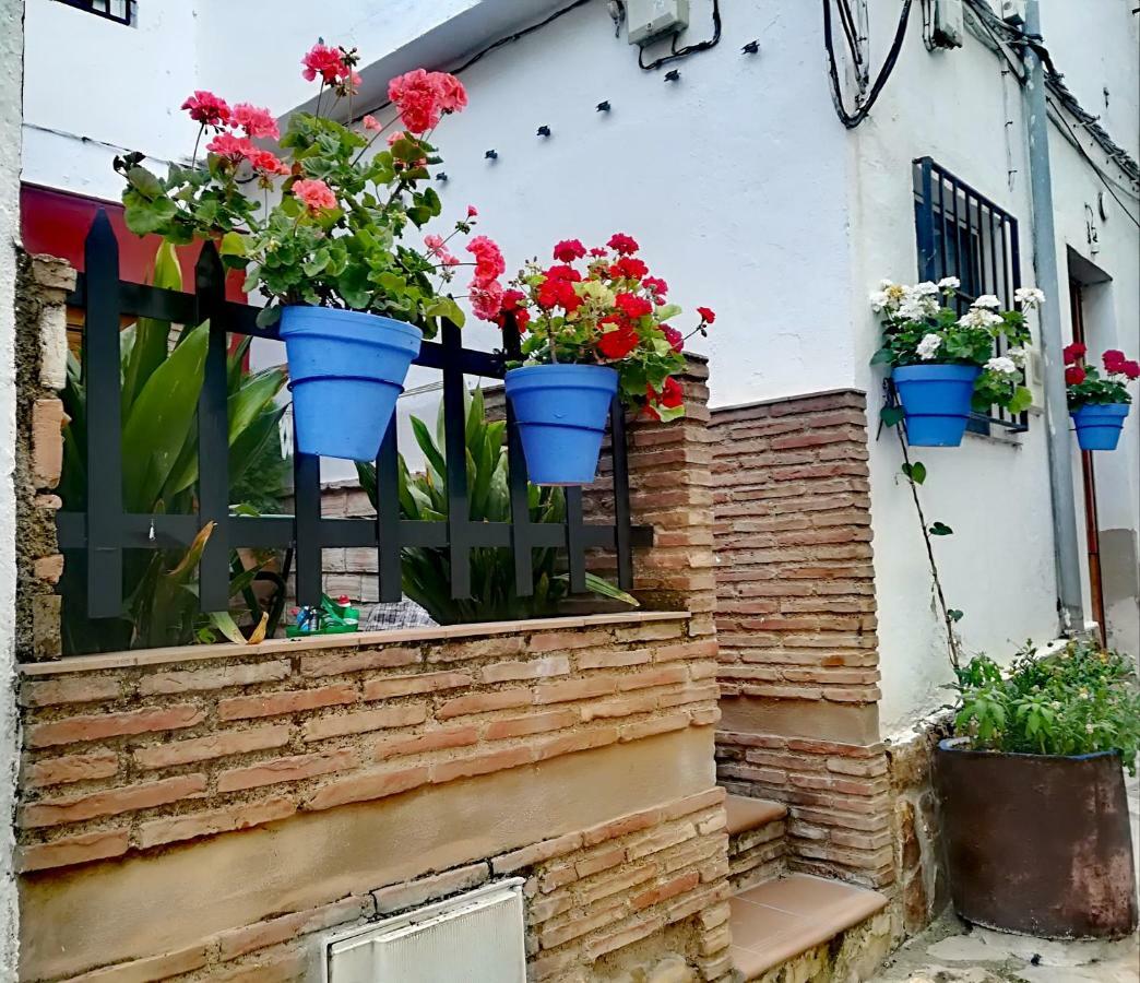 Pineros Apartament *