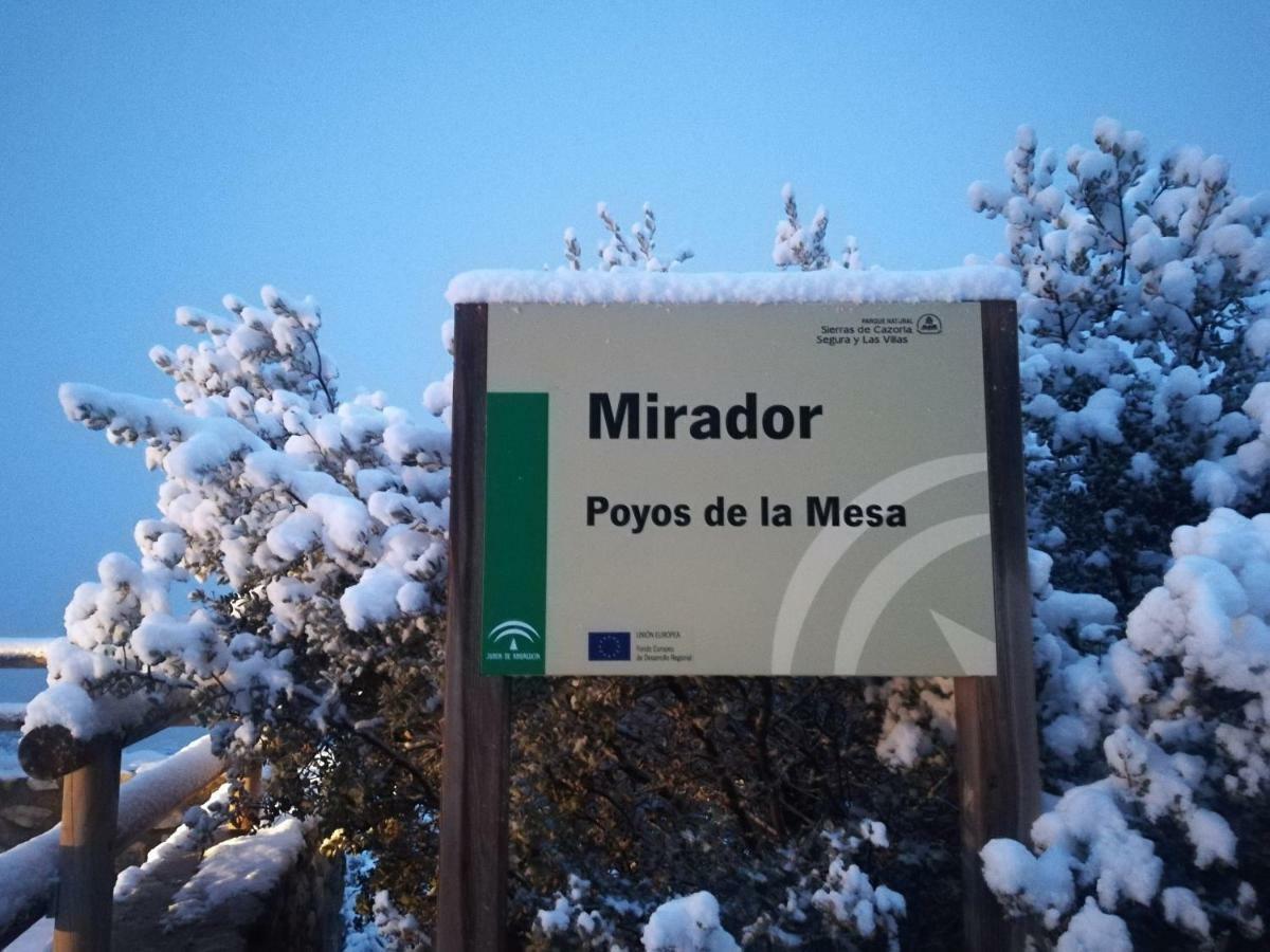 Pineros Apartament