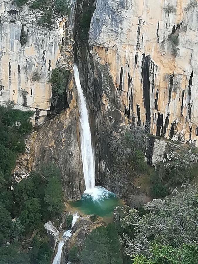 Pineros