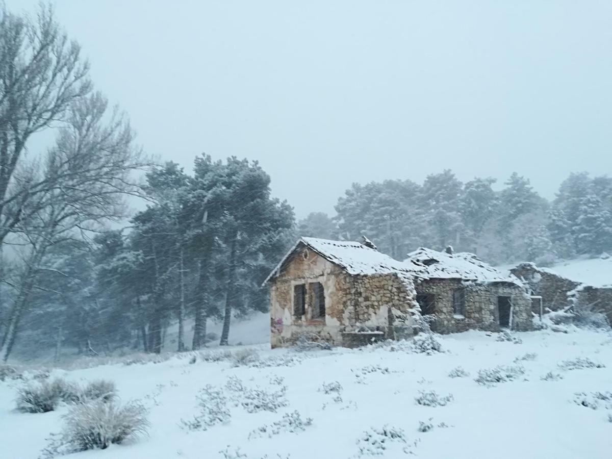 Pineros Arroyo Frio